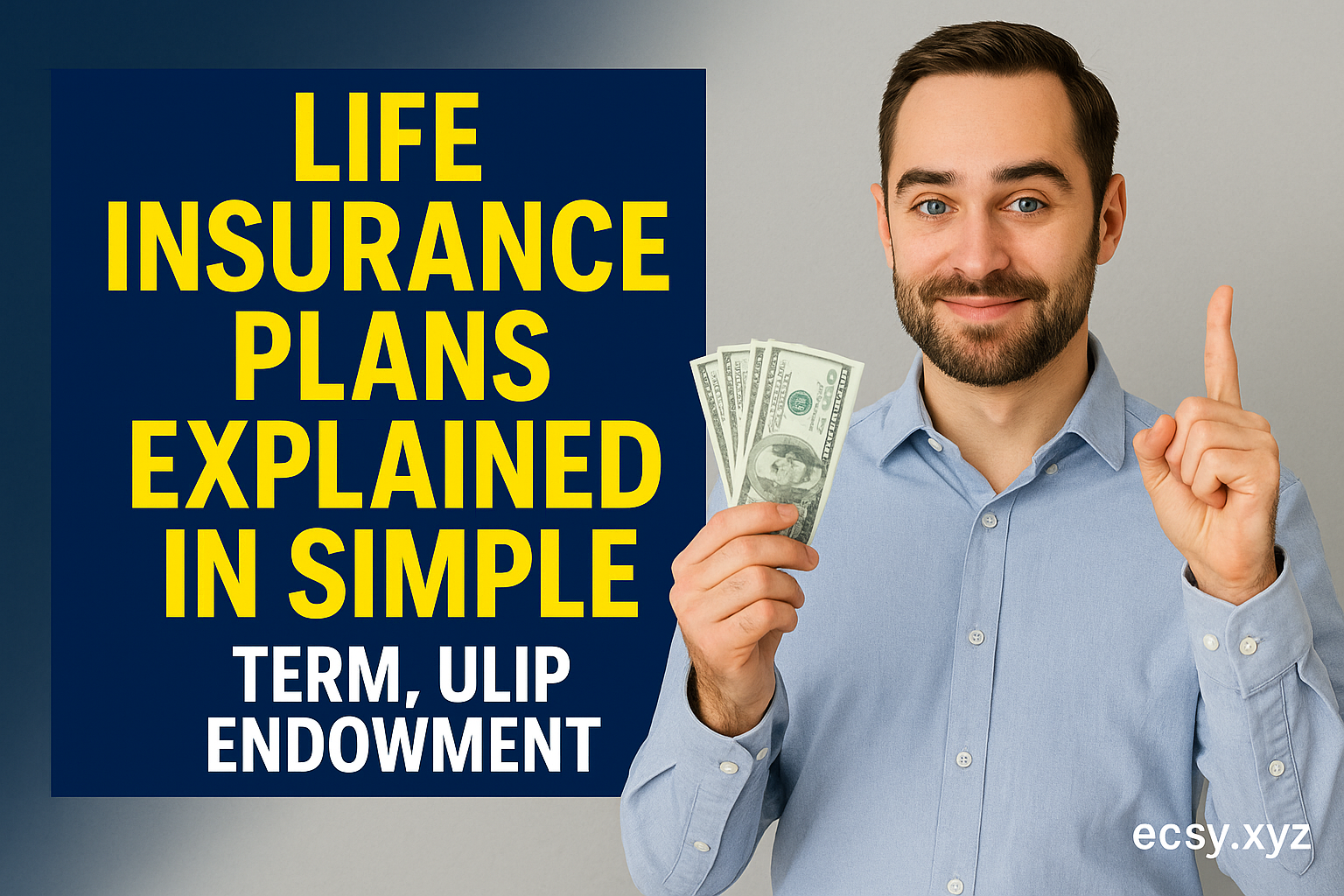 Life Insurance Plans Explained in Simple